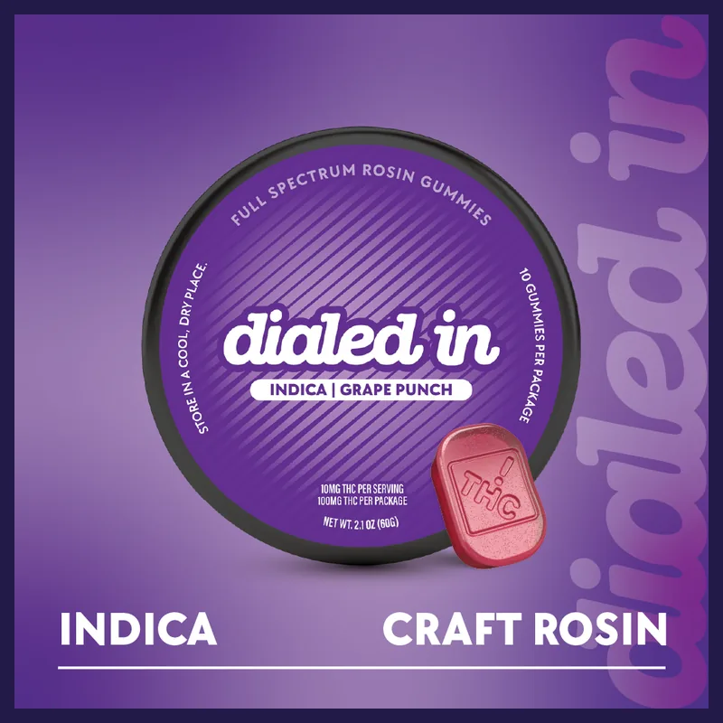 DIALED IN CLASSIC ROSIN GUMMIES 100MG GRAPE PUNCH (I)